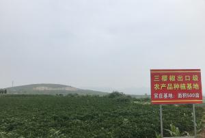 管莊基地：面積500畝