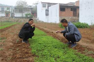 Planting cases