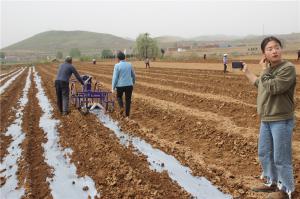 Planting cases