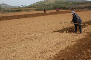 Planting cases