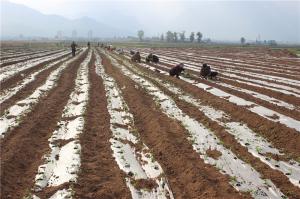 Planting cases